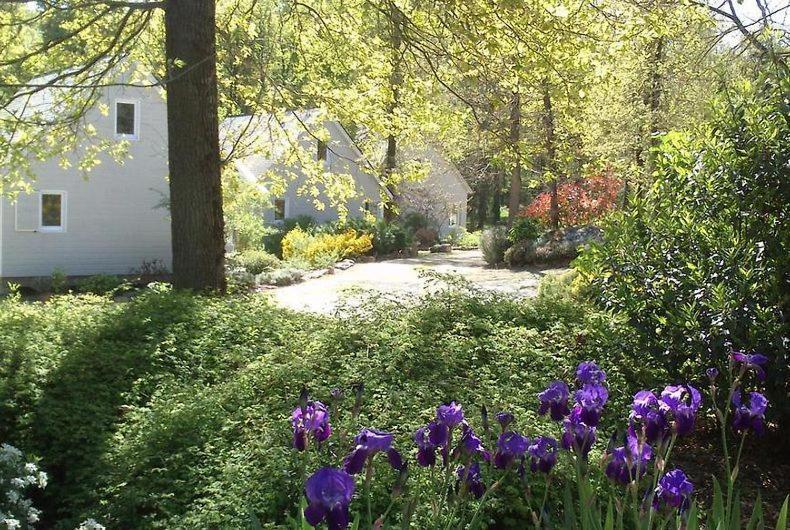 Les Chalets De Saumur, Piscine & Parc Boise, 100M Du Cadrenoir Dış mekan fotoğraf