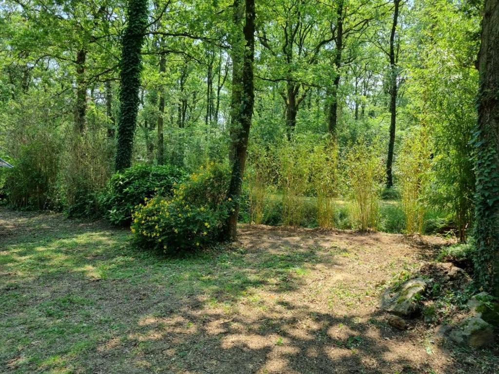 Les Chalets De Saumur, Piscine & Parc Boise, 100M Du Cadrenoir Dış mekan fotoğraf
